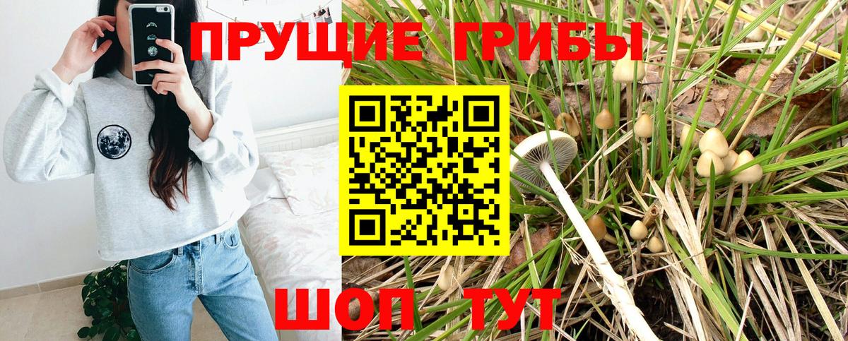 Азов  Псилоцибиновые грибы прущие грибы  Вход с VPN 